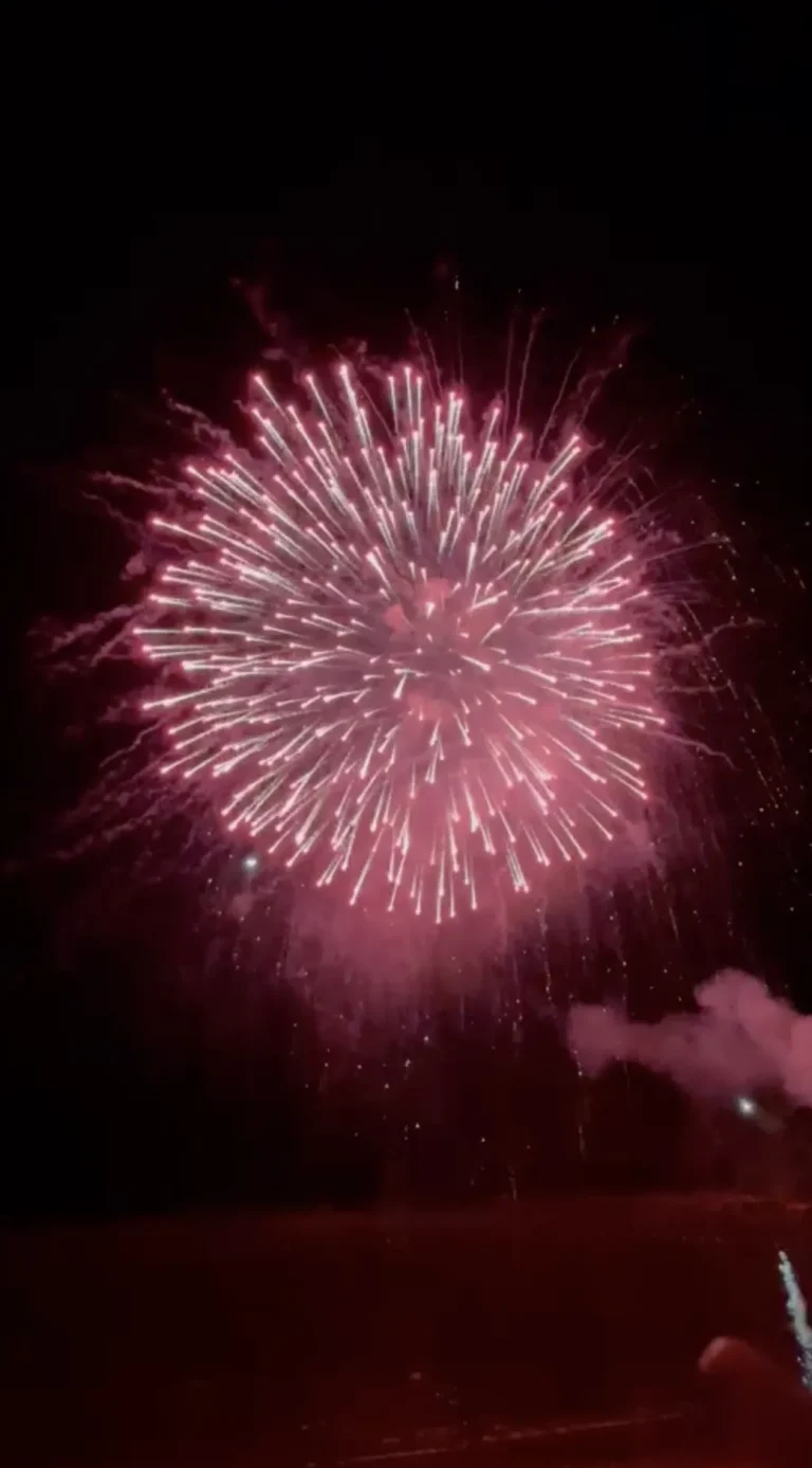 firework cartier 2024 cover