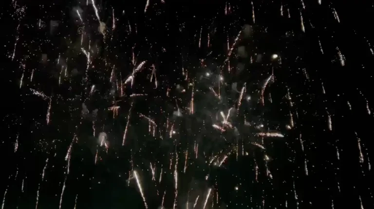 firework video-4 cover